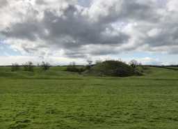 5 photographs of Bishopton Motte and Bailey. Photograph by Dr Emma Watson